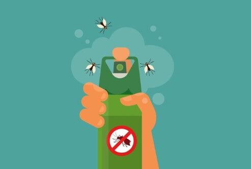 날파리-없애는-법-6