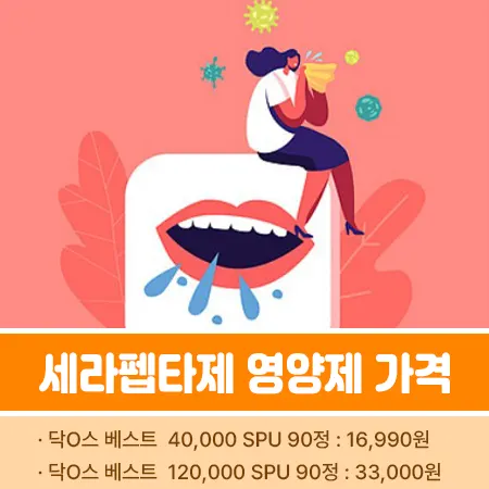 세라펩타제 가격