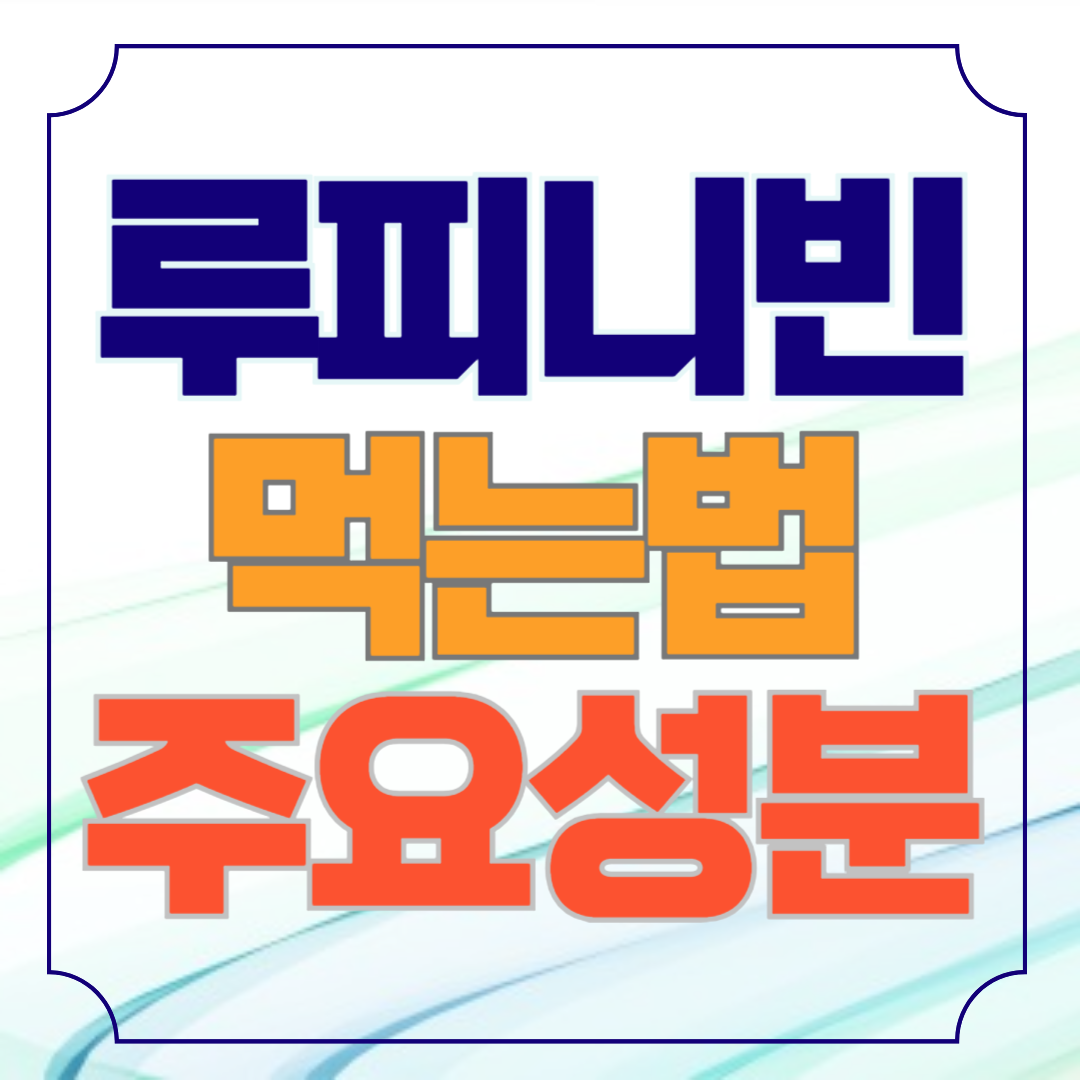 루피니빈 먹는법 요리방법