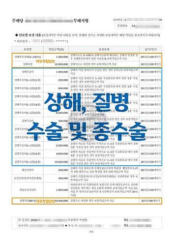손해보험가입