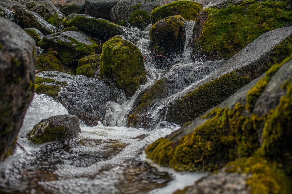 계수(癸水)