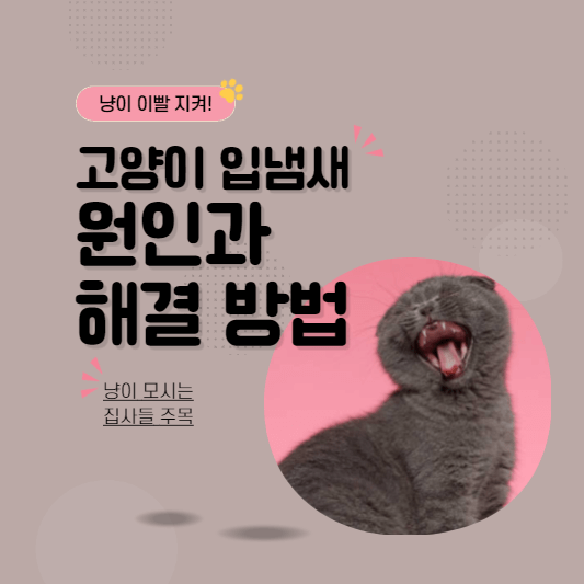 고양이입냄새