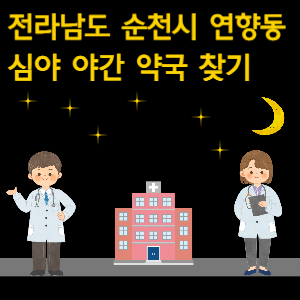 순천시 연향동 심야 야간 약국 찾기