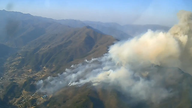 2025년 첫 산불 3단계 발령&amp;#44; 경남 산청 산불 피해 상황과 이후 계획은?