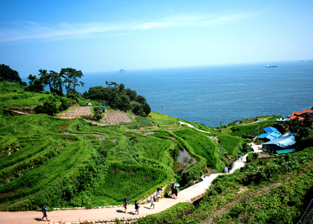 국내 가족여행지 추천 여름휴가 BEST5