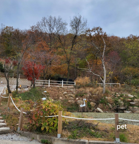 경기-인천-아르보리아-사르데냐-캠핑장-예약-방법-애견-동반-가격-주소-시간-후기