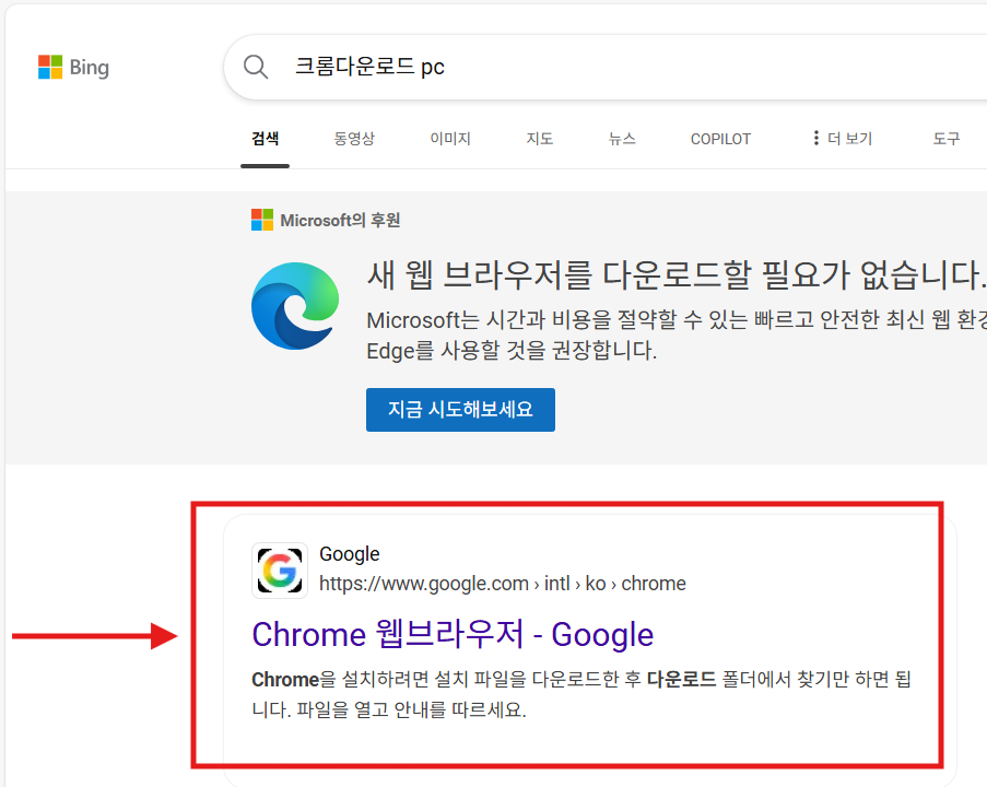 방법 3: 구글 공식 사이트 선택하기