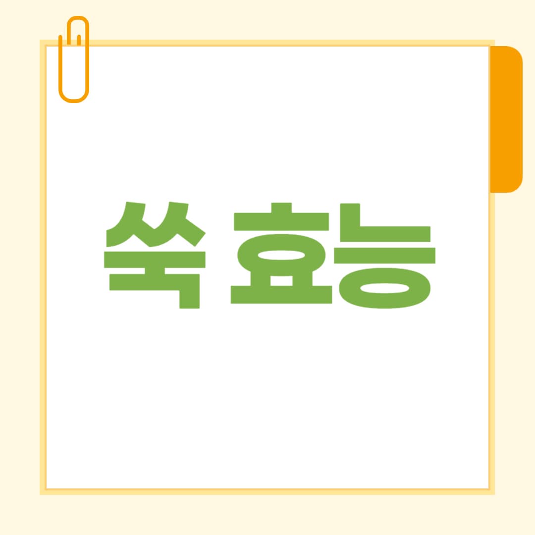 쑥 효능 총정리 몸과 마음을 따뜻하게 하는 봄 제철 약초