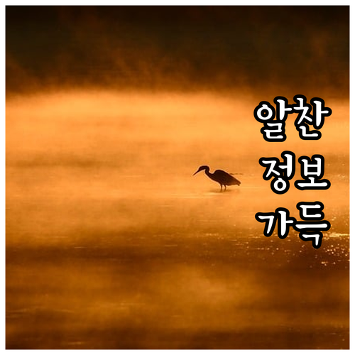 2025 거제시 반려동물 등록 활성화..