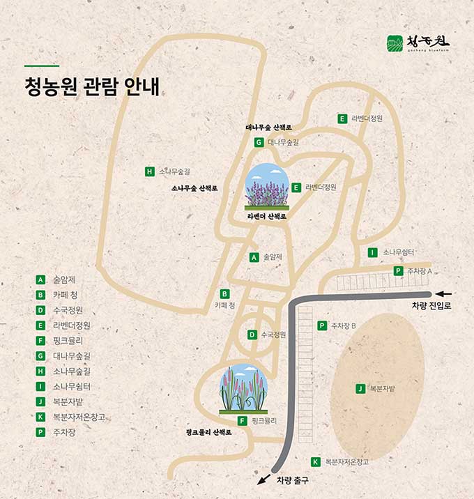 고창 청농원 라벤더 가든