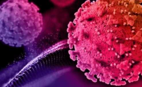 코로나-오미크론