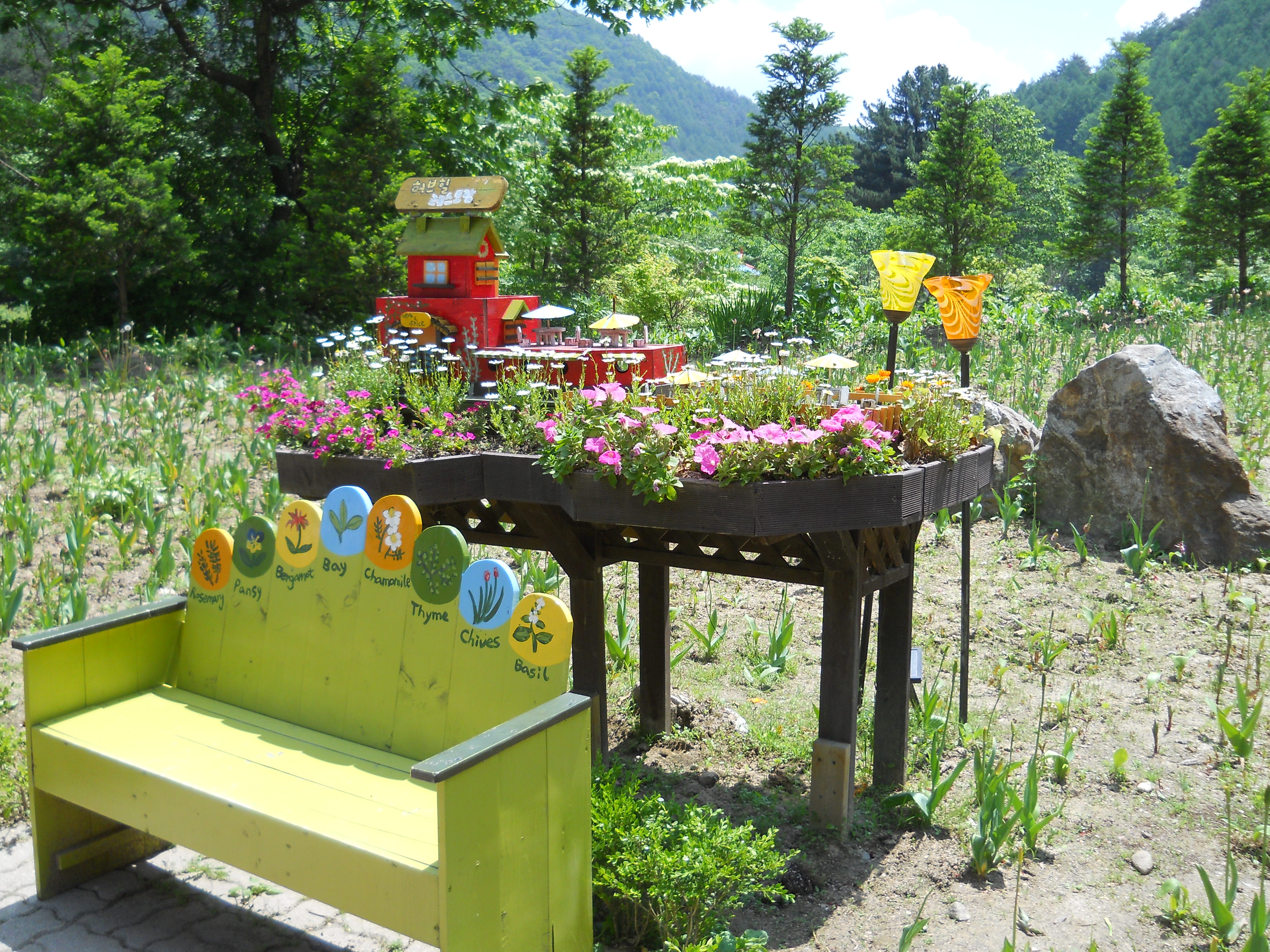 평창 허브나라 농원(Herbnara Farm)