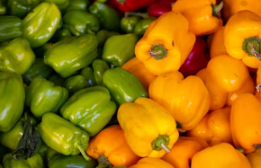 멀티비타민 추천 복용시간 먹는시간