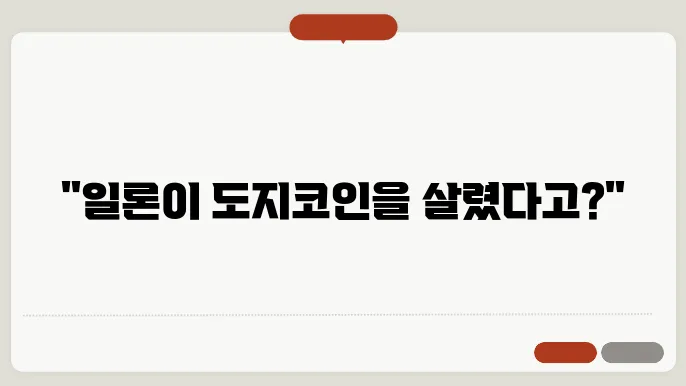 도지코인 활용 사례