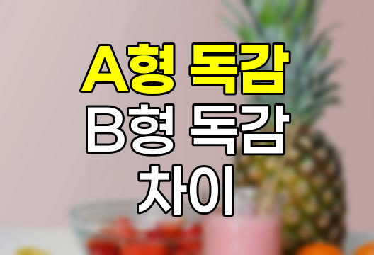 A형 독감 B형 독감 차이, 감기와의 구분부터 예방법까지 상세 분석