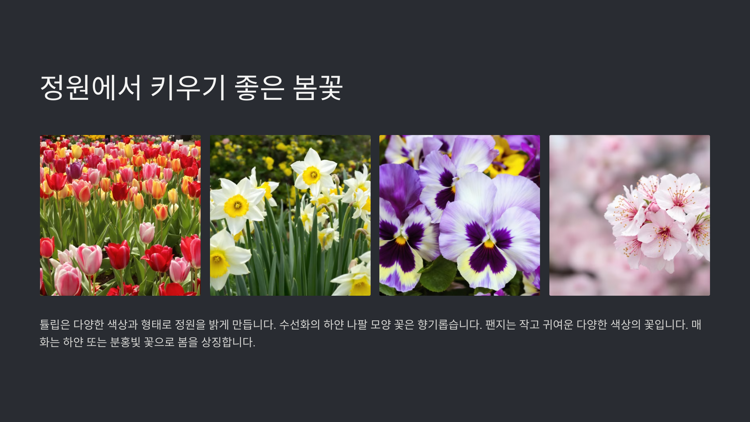 봄꽃 종류 100가지와 특징