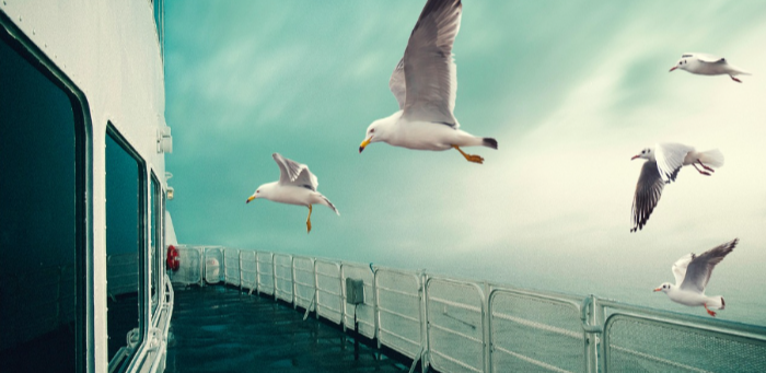 배 만드는 직업들의 연봉