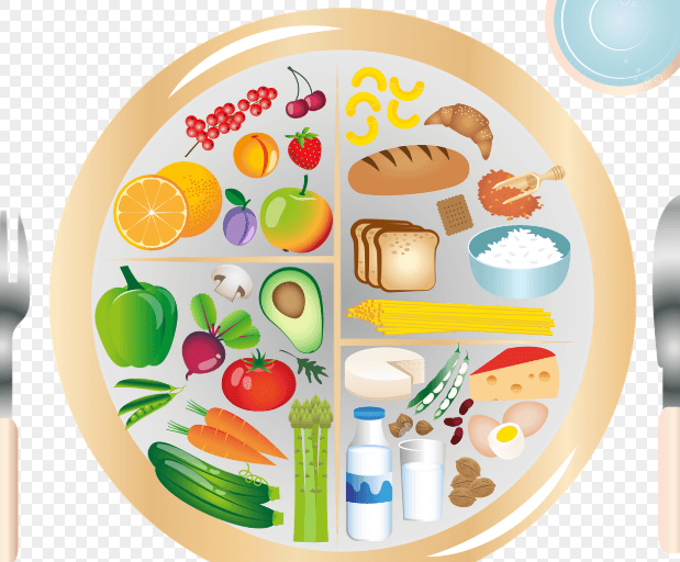 건강식단