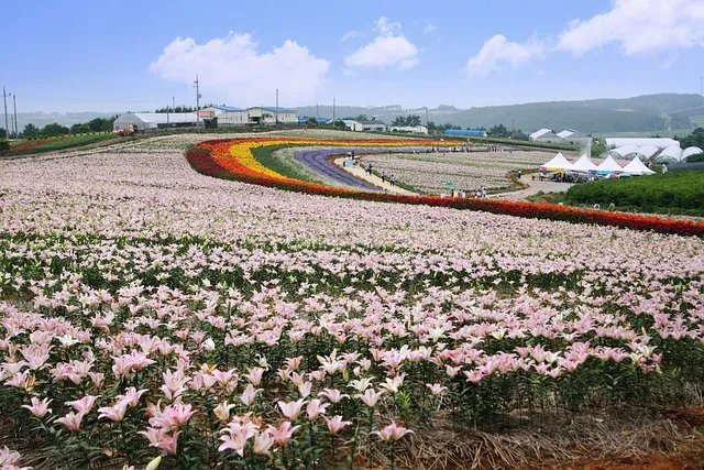 태안 여행코스 추천 꽃지해변 포함한 드라이브 코스 안내_1