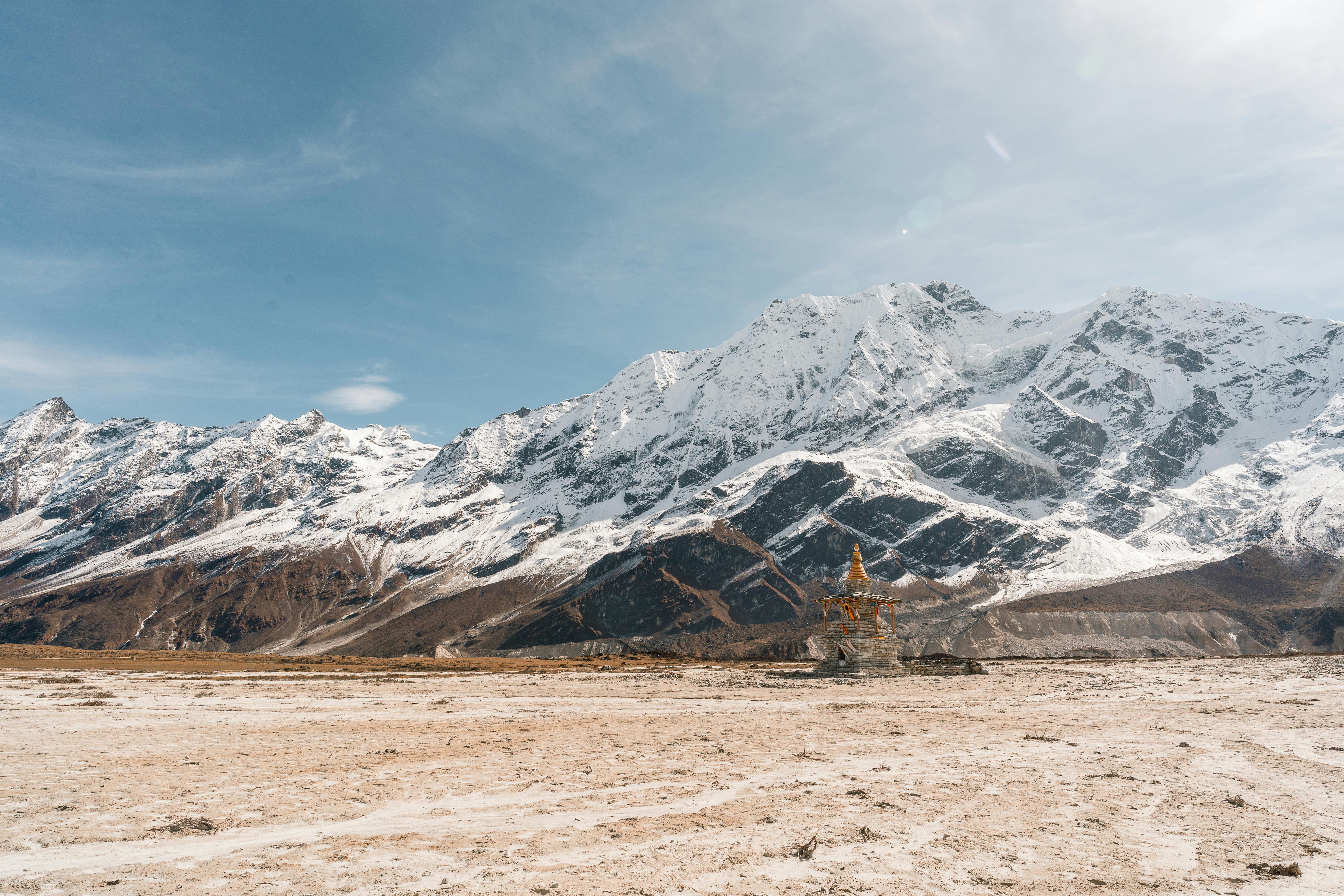 태어난 김에 세계일주