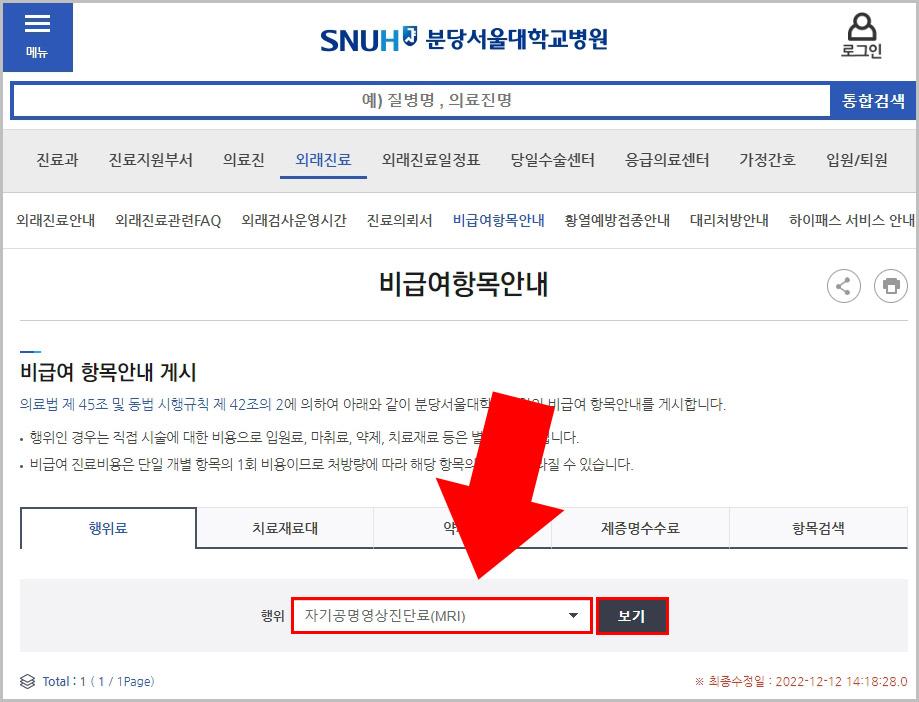 서울대병원 비급여항목 비용