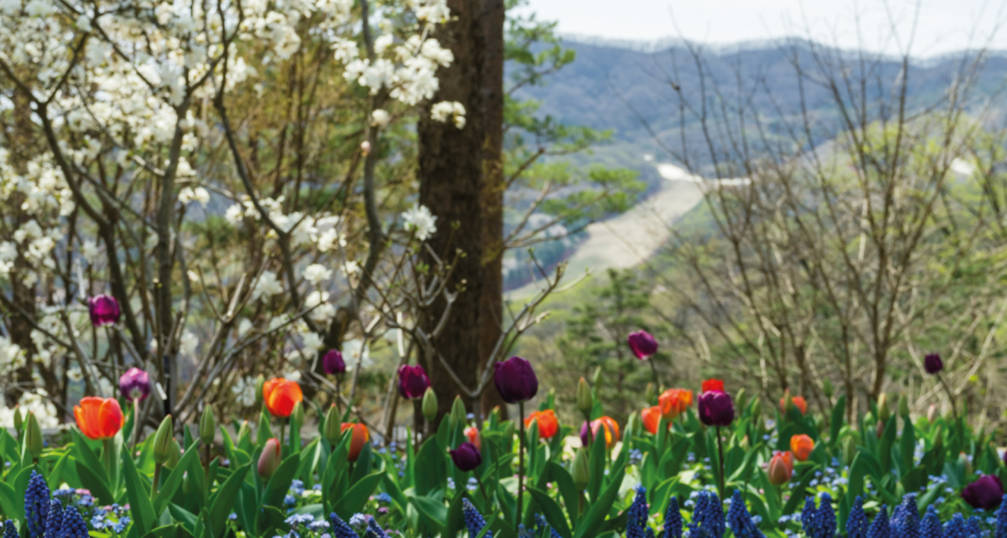 화담숲 풍경 사진