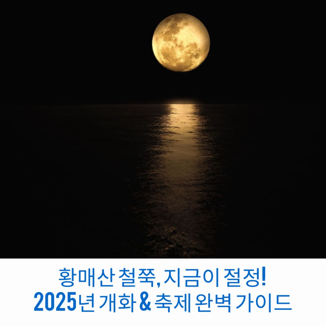 황매산-철쭉-지금이-절정-2025년-개화-축제-완벽-가이드-썸네일