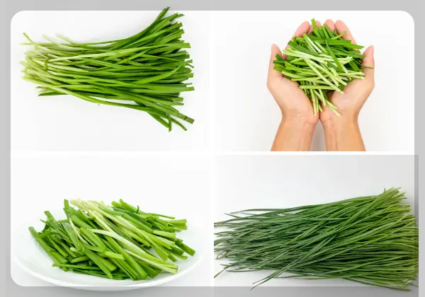 결핵에 좋은음식-부추