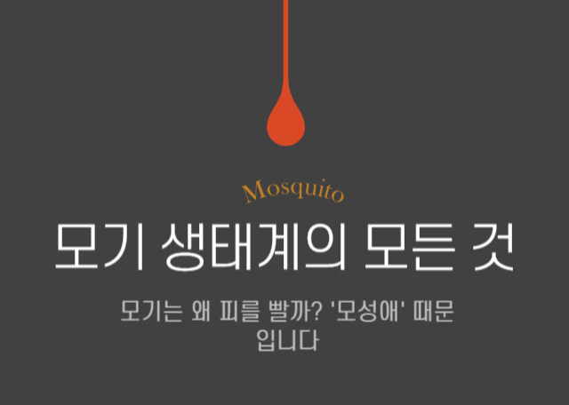 모기생태계의모든것