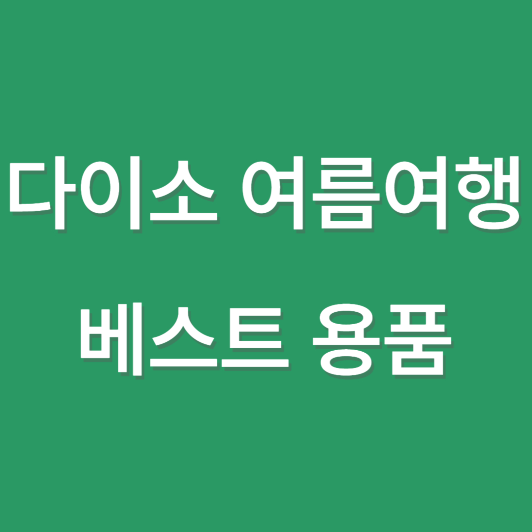 다이소 여름여행 용품 베스트