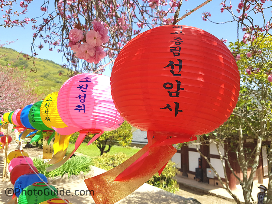 부처님오신날