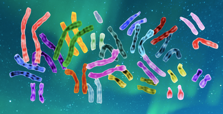 인간 유전체 탐구