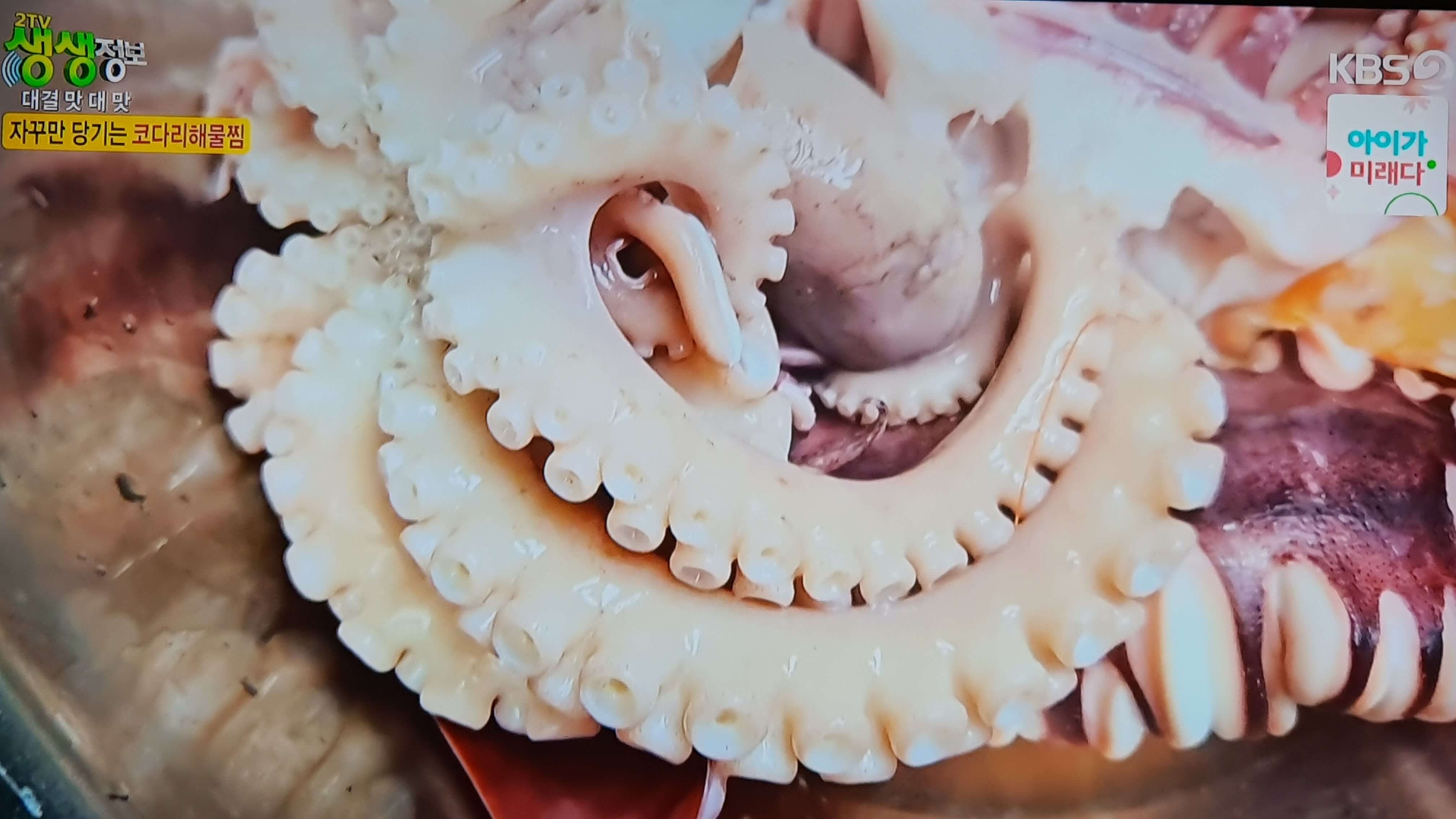 생생 정보통 맛집 맛의 비결