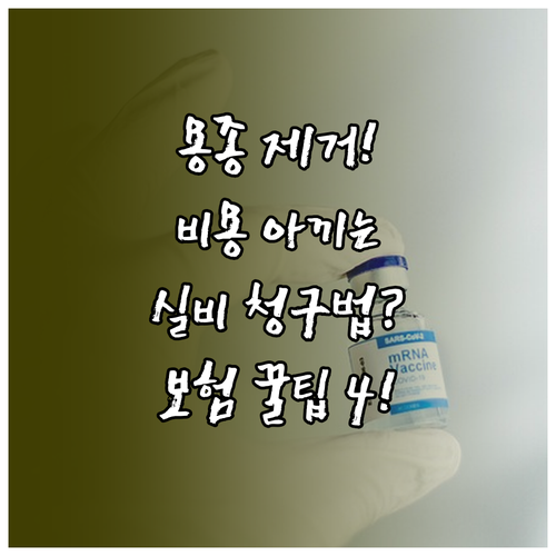 용종 제거 시 대장내시경 비용 국민건..