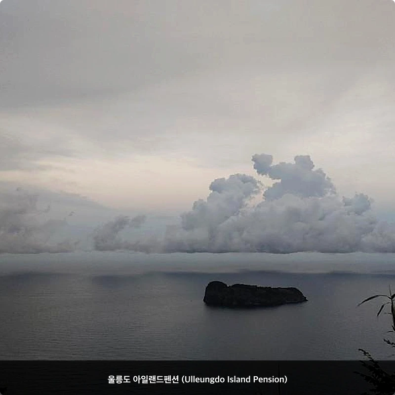울릉도 아일랜드펜션 (Ulleungdo Island Pension)_7