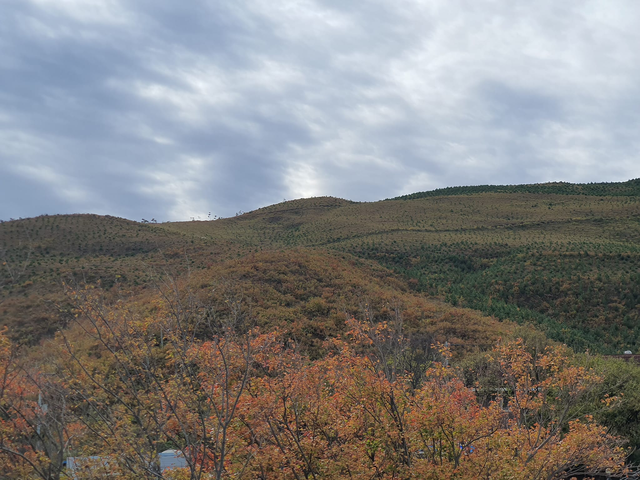 늦가을 도시 풍경과 실내 여행지(히어로 이미지)