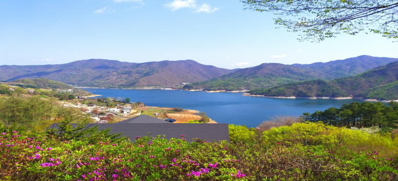 충주호 계명산 자연휴양림 예약 여행 숙소 주변 단풍 명소 계곡 트레킹 등산 할인 날씨 정보