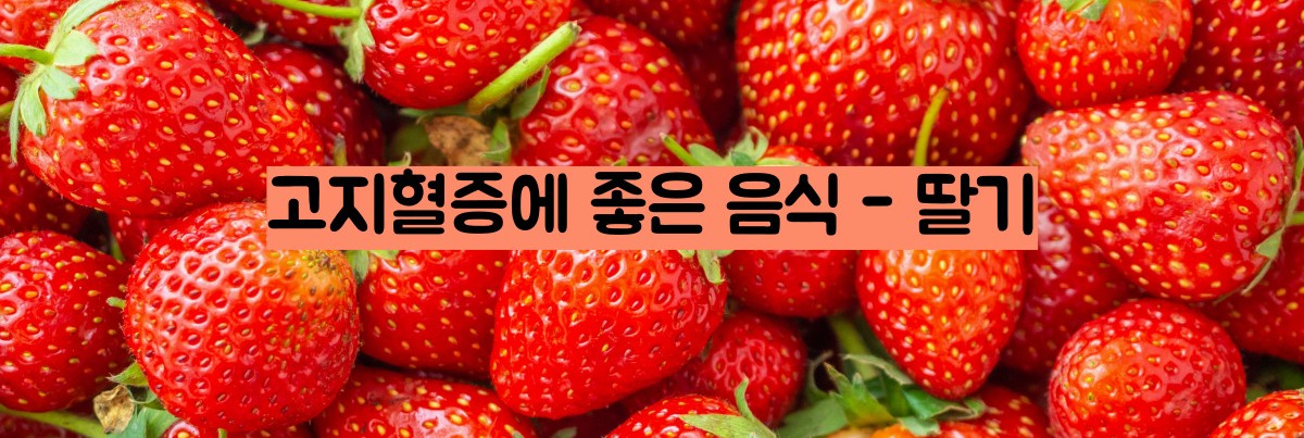 고지혈증에 좋은 음식