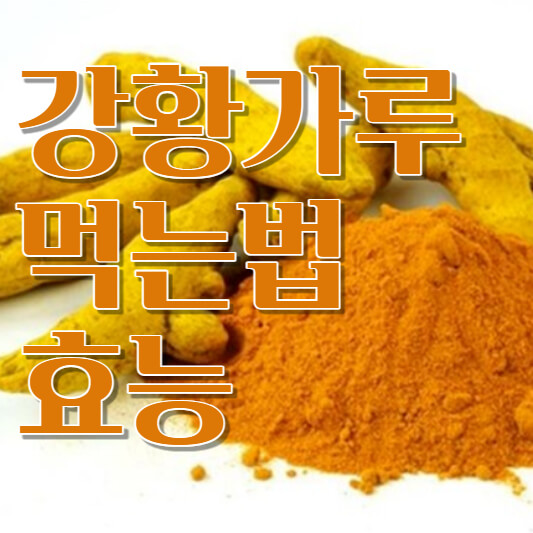 강황가루 먹는법 효능
