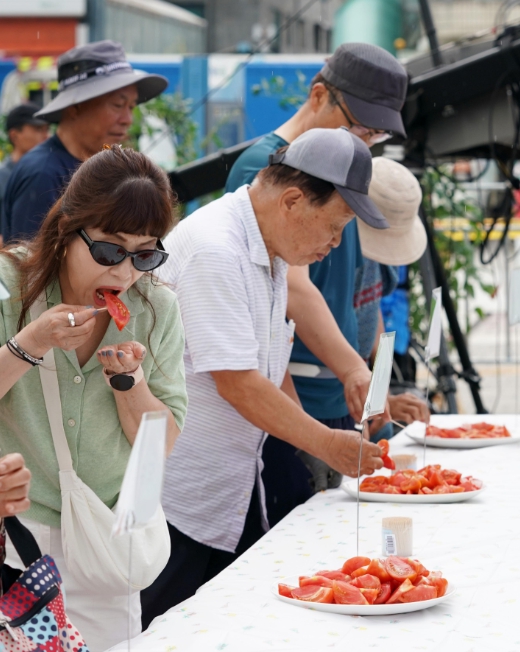 퇴촌 토마토 축제 2026