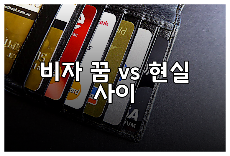 비자 꿈 vs 현실 사이