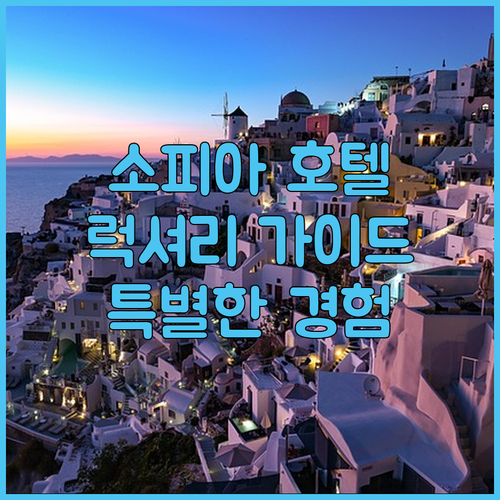소피아 럭셔리 호텔 완벽 가이드 ✨ ..