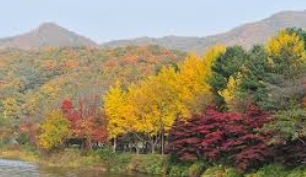 남이섬 배시간표