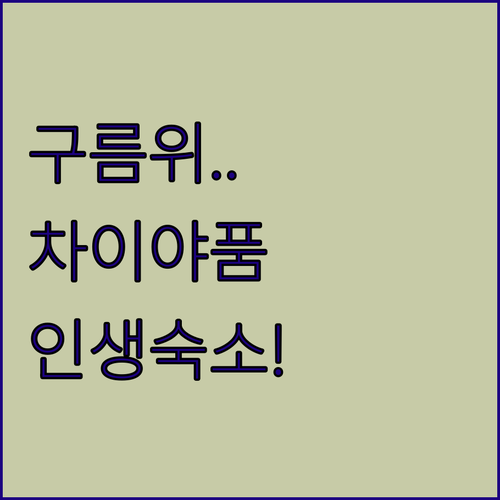 구름 위에서 잠들 수 있는 태국 차이..