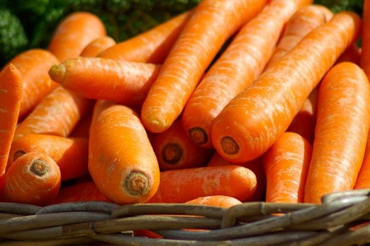 당근오일 사용법 | 당근오일 효능 | 당근오일을 만드는 법