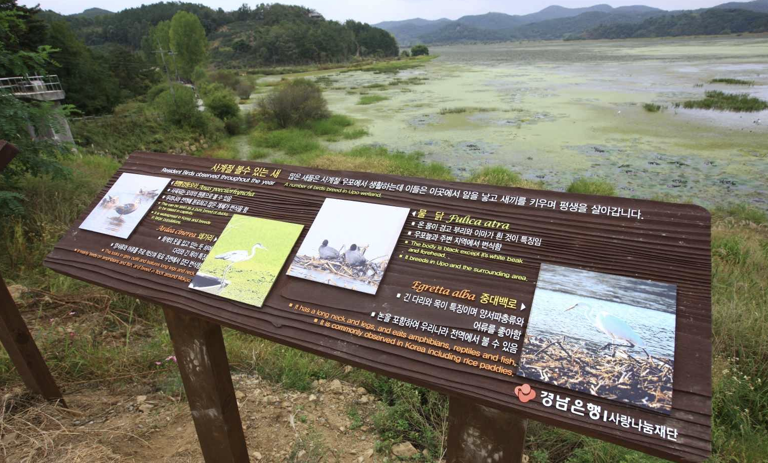 우포늪 새관찰 안내