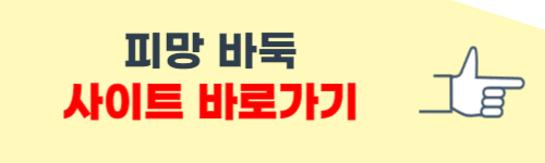 피망 바둑 바로가기