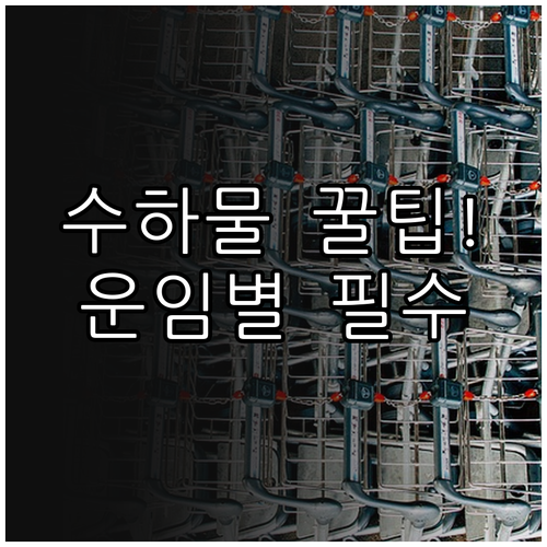 홍콩익스프레스 운임별 수하물 허용량과..