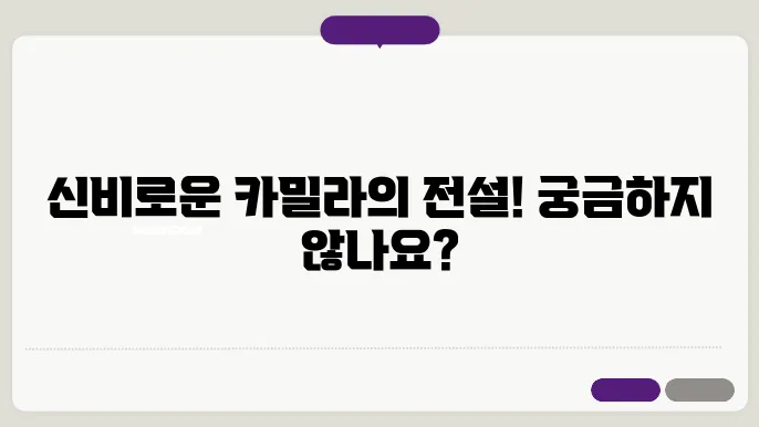 카밀라신화