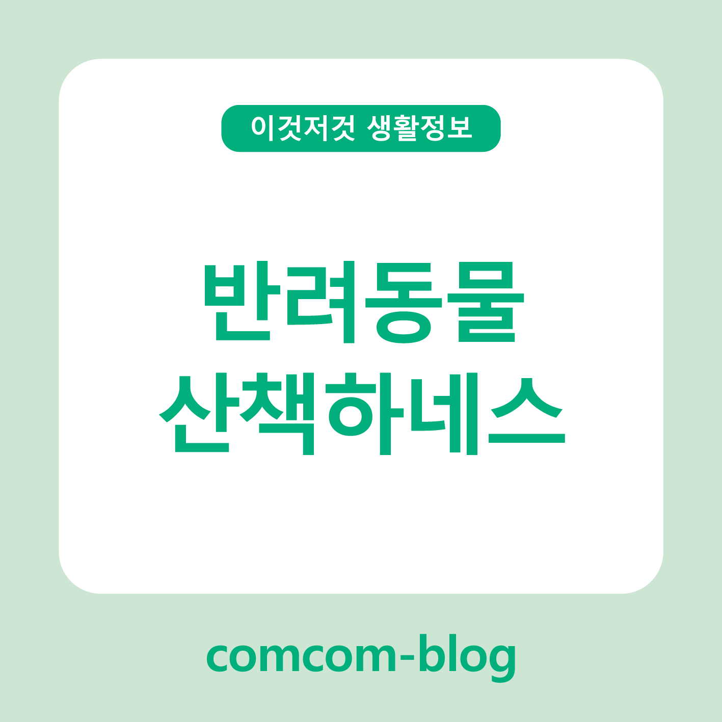 봄바람 타고 산책 나가요, 우리 아이 하네스는 준비되었나요?